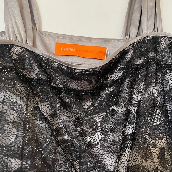 Brand New Cynthia Steffe Silver Satin and Lace Tank Top Size 2 - Picture 3 of 4